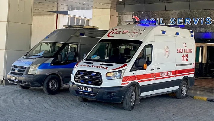 Elazığ'da kene alarmı