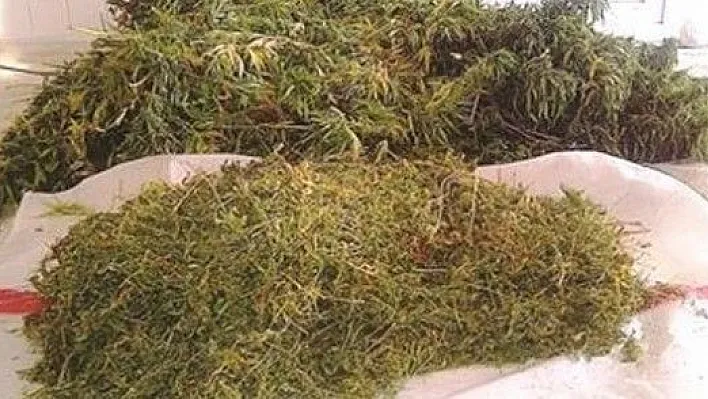 Elazığ'da 6 Kilogram Esrar Ele Geçirildi