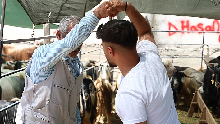 Elazığ'da kurban pazarlığı kıran kırana