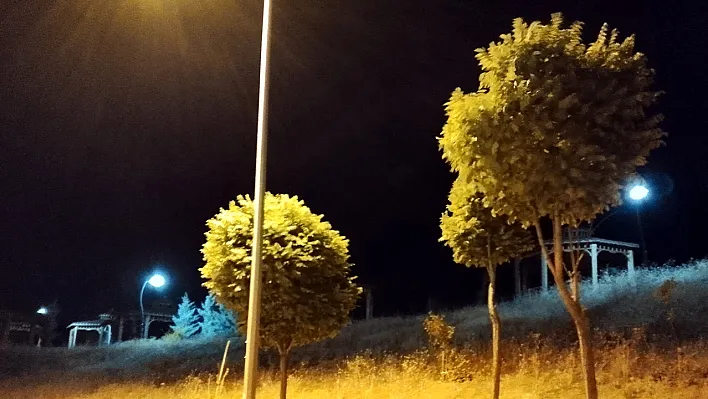 Elazığ'da kuvvetli rüzgar etkili oldu
