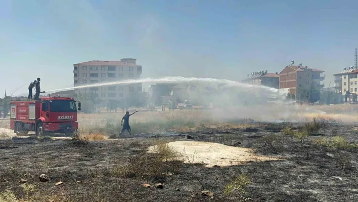 Salıbaba Mahallesi'nde ot yangını