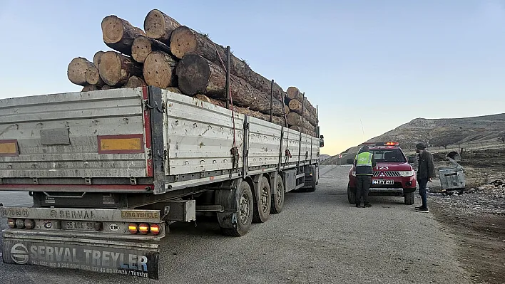 Elazığ'da orman kaçakçılığına geçit yok