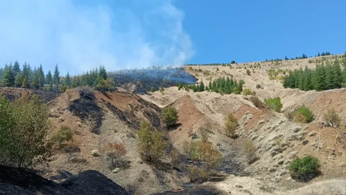 Elazığ'da orman yangını