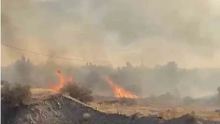 Elazığ'ın Sakabaşı köyünde örtü yangını