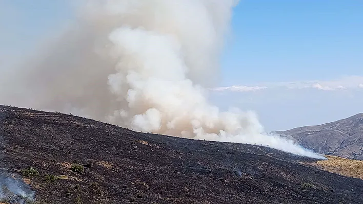 Elazığ'da örtü yangını