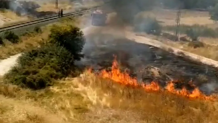 Elazığ'da ot yangını