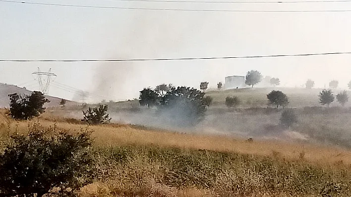 Elazığ'da ot yangını