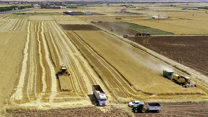 'Elazığ'da son yılların en yüksek arpa ve buğday rekoltesi bekleniyor'