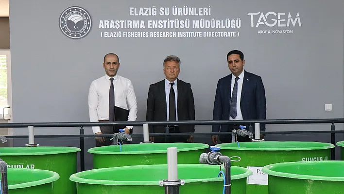 Elazığ'da su ürünlerinde yeni dönem