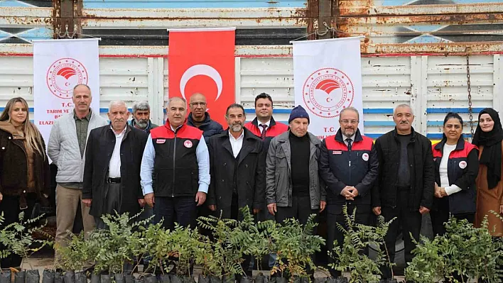 Elazığ'da sumak üretimi artıyor