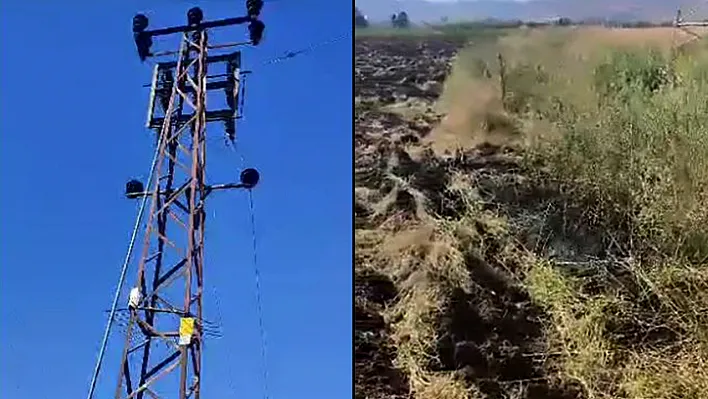 Elazığ'da tarla yangını