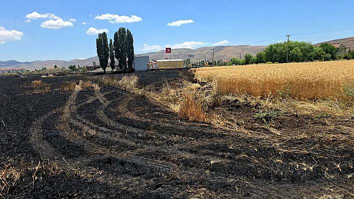 Elazığ'da tarla yangını