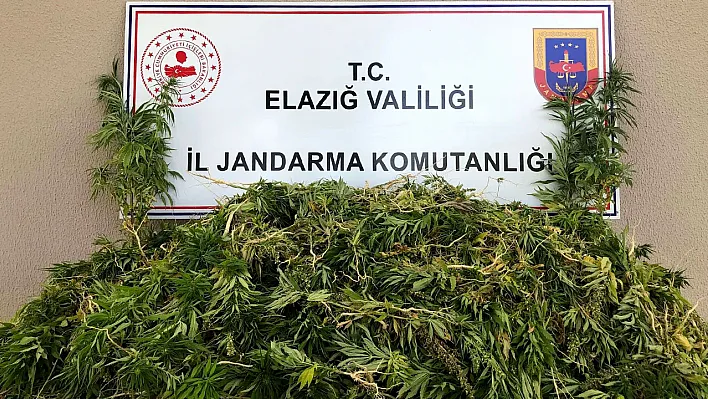 Elazığ'da uyuşturucu operasyonu