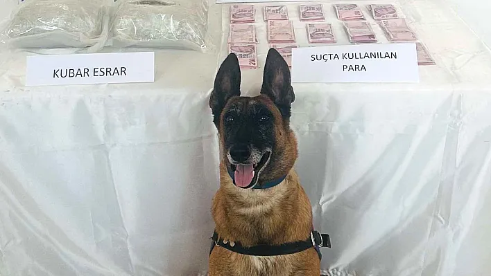 Elazığ'da uyuşturucu operasyonu