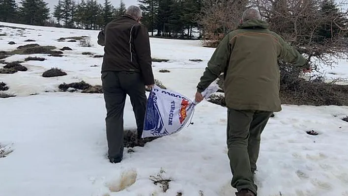 Elazığ'da yaban hayvanları unutulmadı