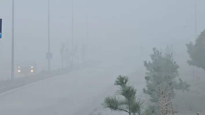 Elazığ'da yoğun sis etkili oldu