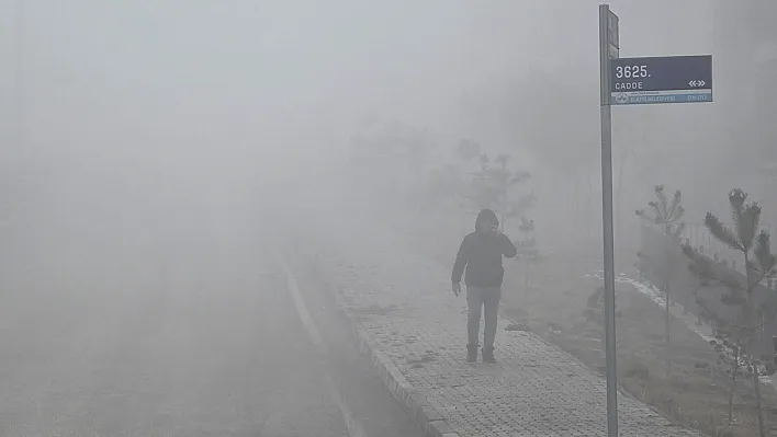 Elazığ'da yoğun sis