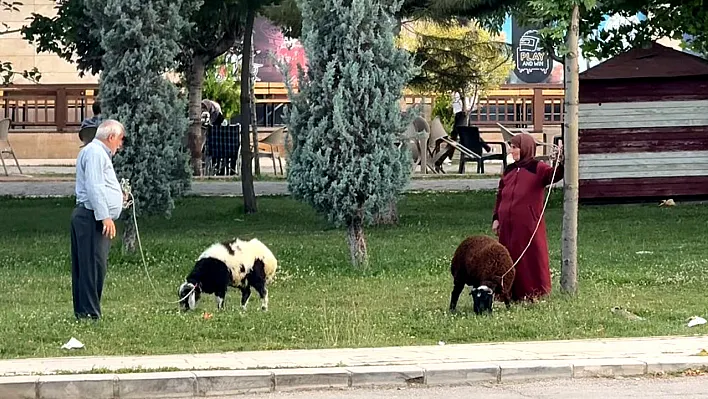 Elazığ'da yürekleri ısıtan görüntü