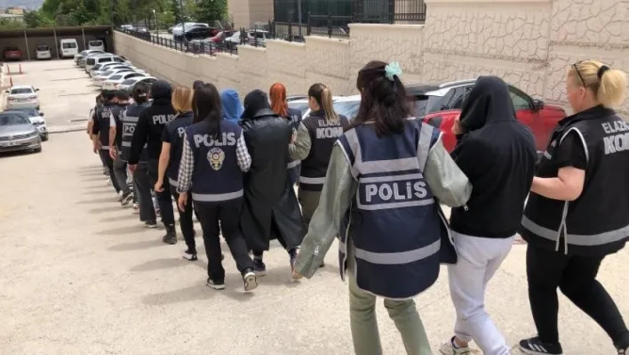 Elazığ'daki operasyonda tutuklama