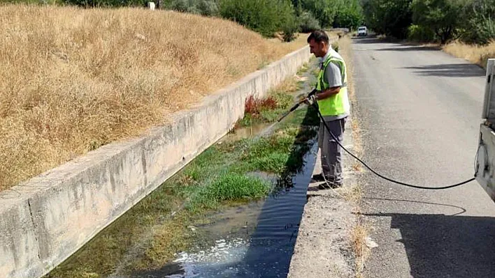 Elazığ ilaçlanıyor