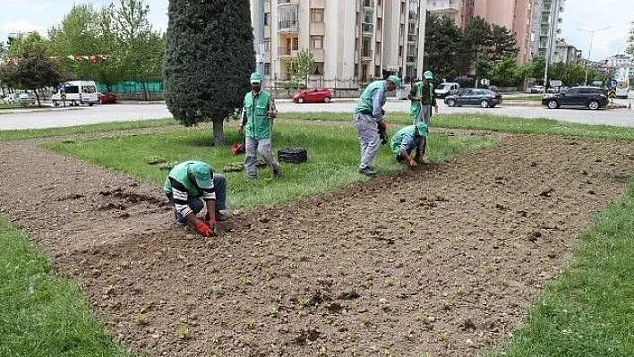 Elazığ'ın caddeleri yaza hazırlanıyor