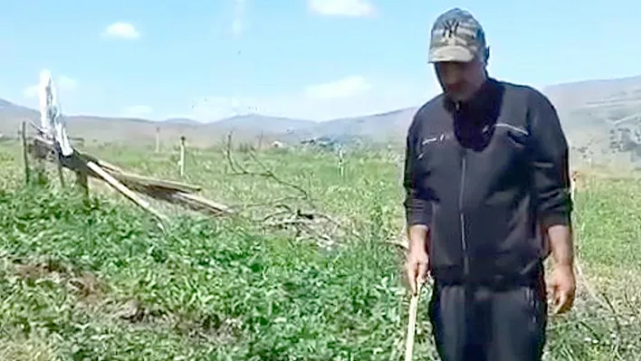 Elazığlı çiftçinin domuz isyanı gündem oldu