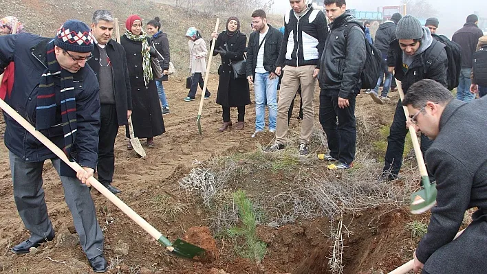 Fırat Üniversitesi Öğrencileri Ağaç Dikti