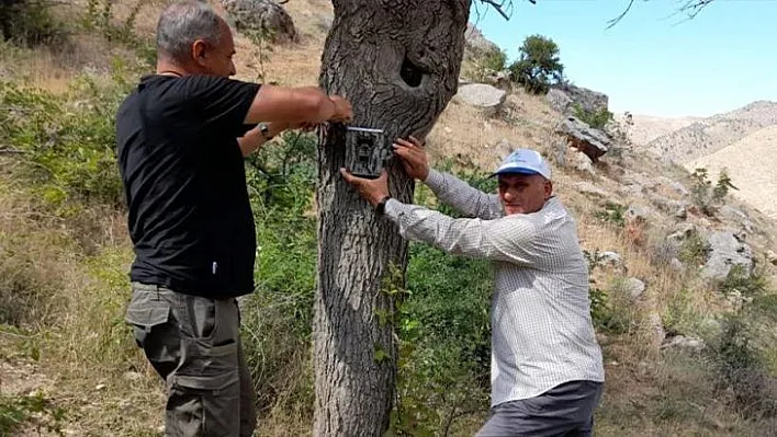 Fotokapanların bakımı yapıldı