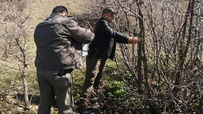 Fotokapanların gözü kaçak avcıların üstünde