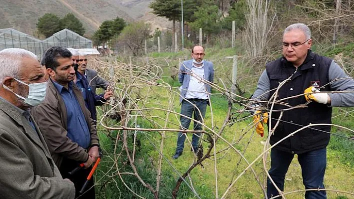 FÜ'den çiftçilere bağ budama eğitimi