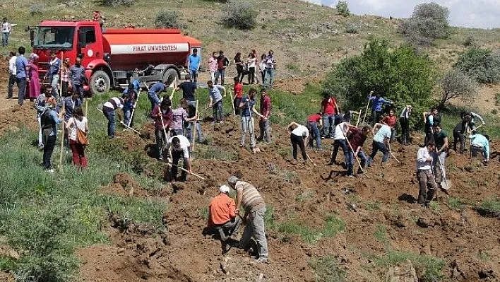 FÜ öğrencileri fidan dikti