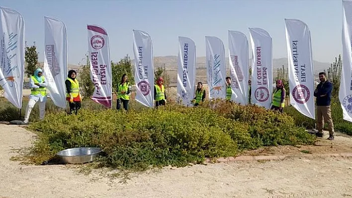 Gençler bitki çayı ve sebze tohumları üretiyor