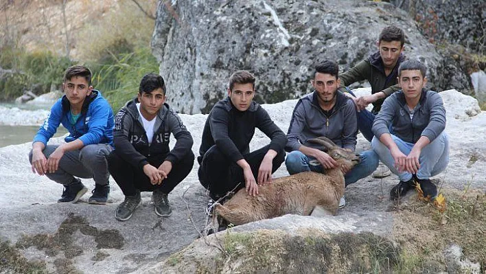 Gençler ve ekipler seferber oldu, tüm çabaya rağmen yaban keçisi kurtarılamadı