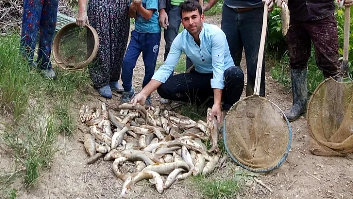 Sel suyu karışan çaydaki balıklar kıyıya vurdu