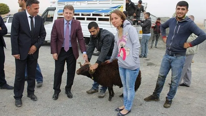 26 çiftçiye hayvan hibesi yapıldı