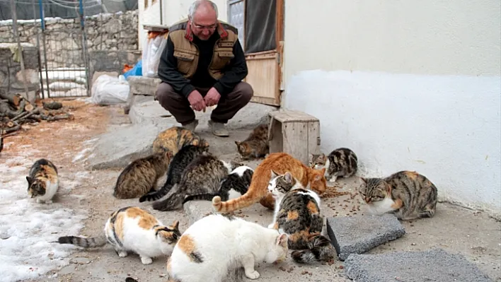 Sadece köylülerin değil 'kedilerin de muhtarı'