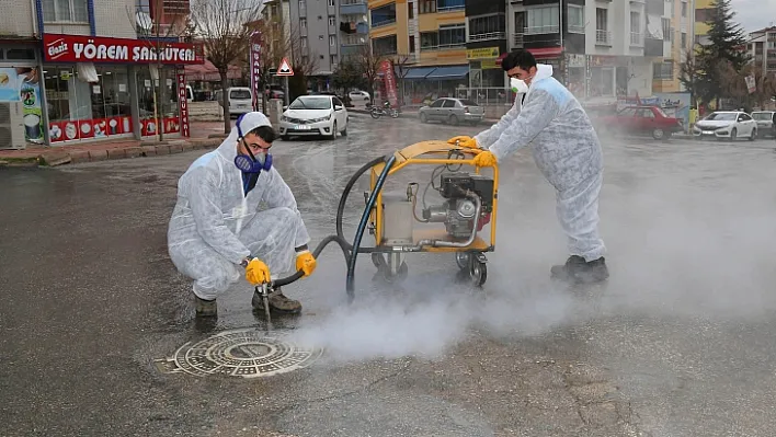 Belediyeden haşere ve mikroplara karşı ilaçlama