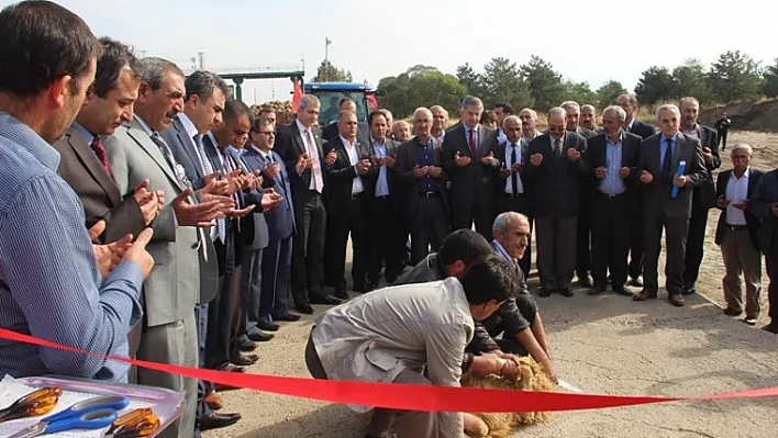 Pancar alım ve şeker üretim kampanyası