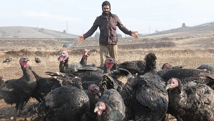 Yılbaşı hindileri elde kaldı