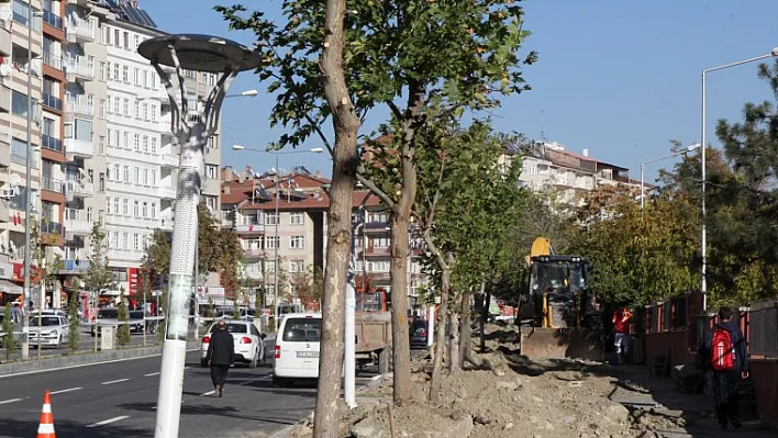 Zübeyde Hanım Caddesi ağaçlandırılıyor