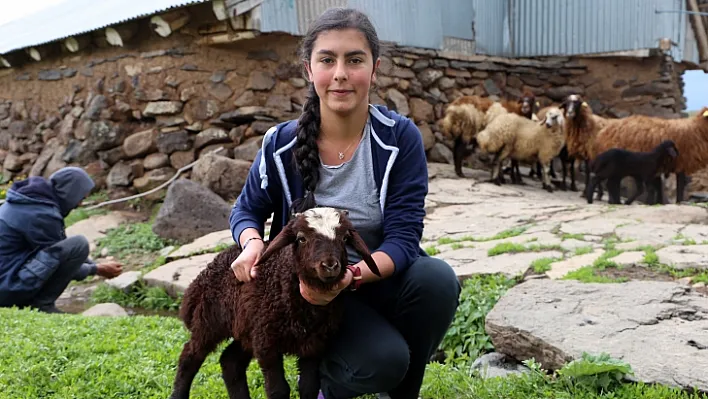 İki odalı evden Türkiye birinciliğine