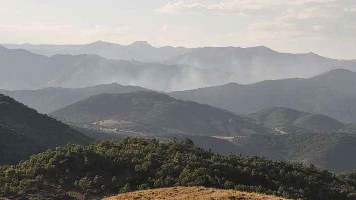 Tunceli'de 6 PKK'lı öldürüldü