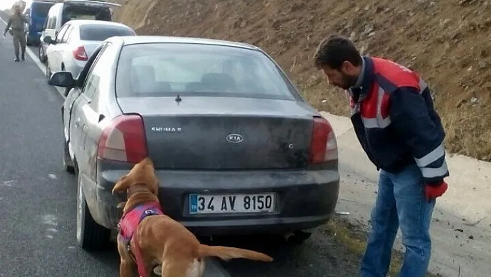 Esrarla yakalanan şüpheliler tutuklandı