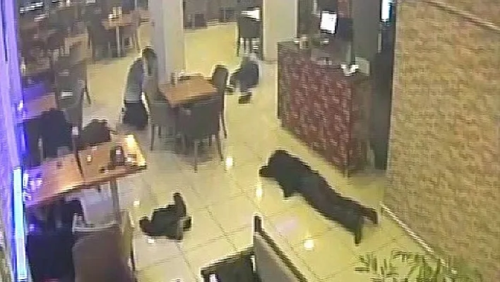 4 kişinin öldüğü olayın görüntüleri ortaya çıktı