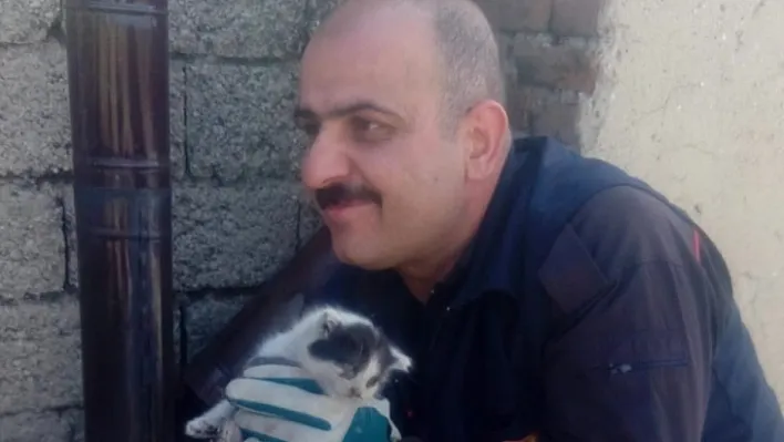 Bacaya sıkışan kedi kurtarıldı