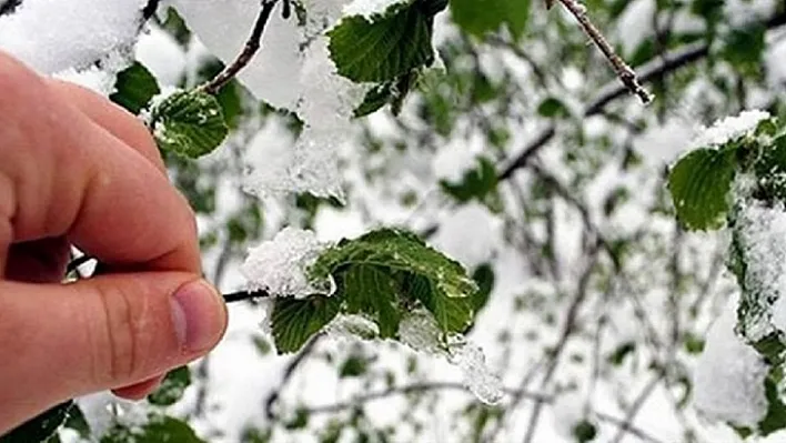 Meteorolojiden zirai don uyarısı