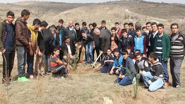 Nevruz Ormanı'na fidan dikildi