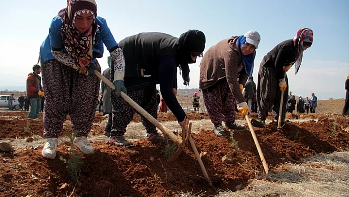 Elazığ'da kadınlar fidan dikti