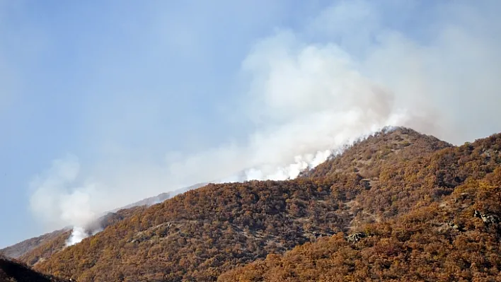 Tunceli'den bir haber daha!