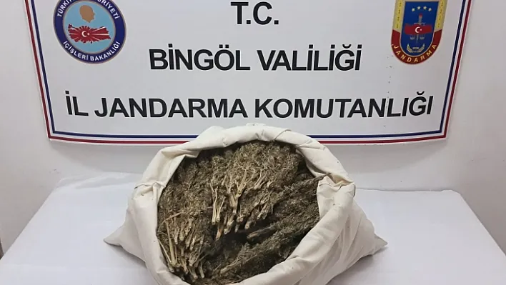 Bingöl'de 10 kilogram esrar ele geçirildi